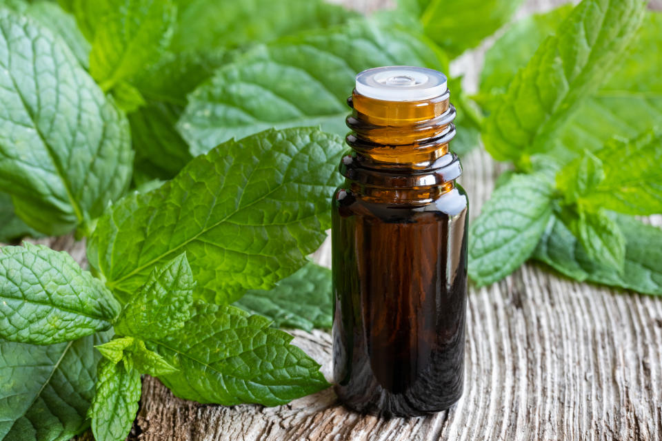 Menthe poivrée (Getty Images/iStockphoto)