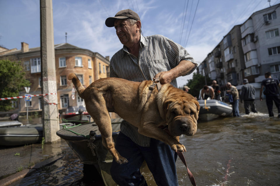 A man carries his dog after evacuation from a flooded neighborhood of the left bank Dnipro river, in Kherson, Ukraine, Friday, June 9, 2023. In Ukraine, the governor of the Kherson region, Oleksandr Prokudin, said Friday that water levels had decreased by about 20 centimeters (8 inches) overnight on the western bank of the Dnieper, which was inundated starting Tuesday after the breach of the Nova Kakhovka dam upstream. (AP Photo/Evgeniy Maloletka)