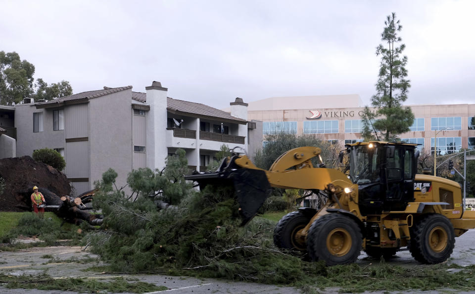 Workers remove a tree that fell across Burbank Blvd. at Canoga Ave. in Woodland Hills, Calif., following a night of steady rain, on Thursday, December 26, 2019. (Dean Musgrove/The Orange County Register via AP)