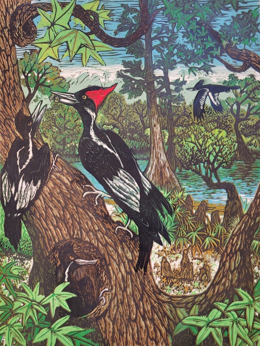 A relief print with encaustic by Leslie Peebles titled "Pileated Woodpecker Family" that is on display at Sweetwater Print Cooperative through Wednesday, July 27.