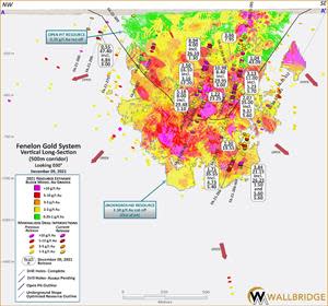 Fenelon Gold, Long Section