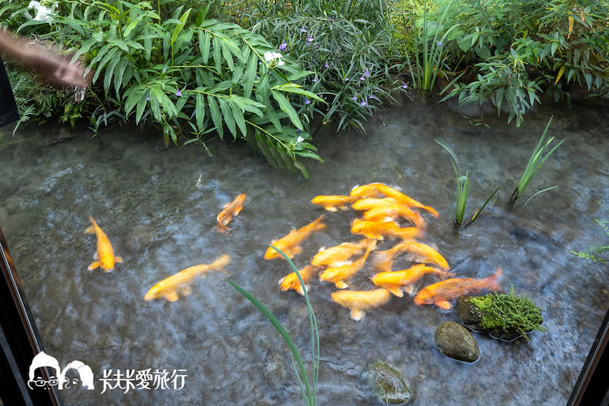 花蓮｜潭心閣民宿