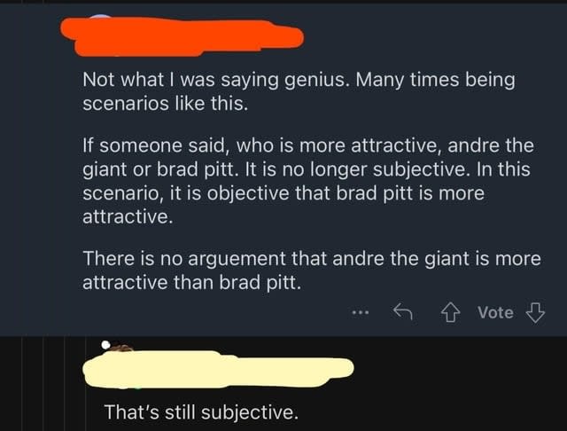 A Reddit user claims things only remain subjective to a certain point, with their evidence being that Brad Pitt is objectively more attractive than Andre the Giant