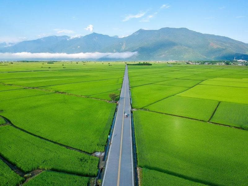 徐行花東縱谷慢遊　Go Bike TAIWAN玩騎認證享好禮