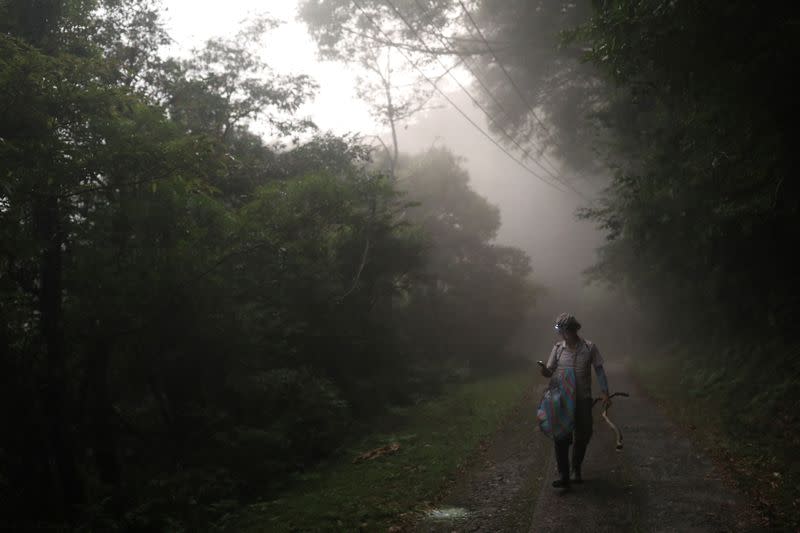 The Wider Image: Taiwan plant hunters race to collect rare species before they are gone