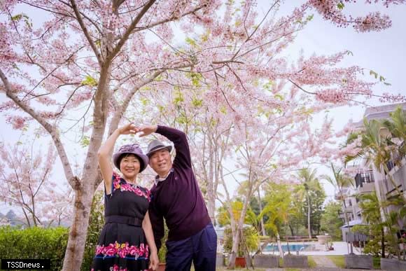 台糖柳營尖山埤桃紅陣雨樹花盛開浪漫花海吸引人潮，渡假村也舉辦各項活動，邀民眾入園賞花逛市集刮大獎。（記者李嘉祥攝）