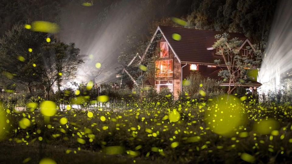 日月潭御朝渡假村內的「台灣檜木墅館」與春天的螢火蟲融化攝影愛好者每年必須朝聖的好地方。(日月潭御朝渡假村提供)