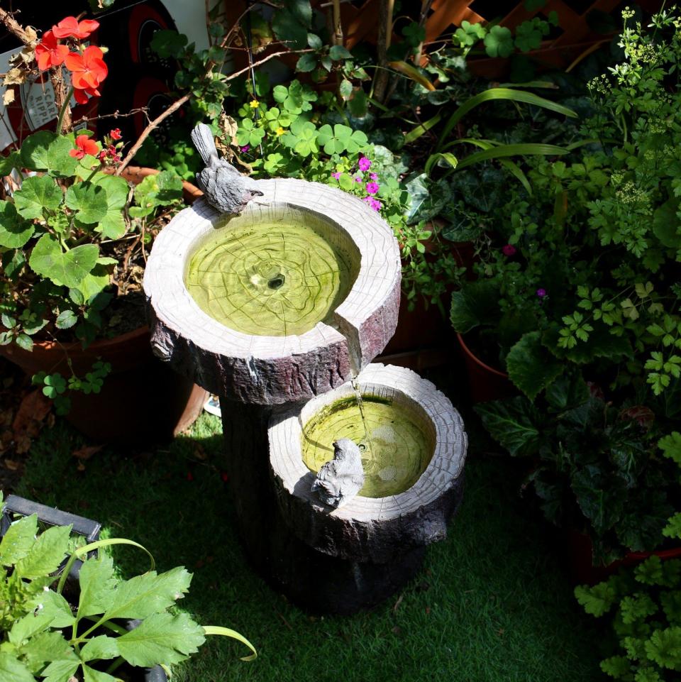 A bird bath encourages avian visitors to the garden