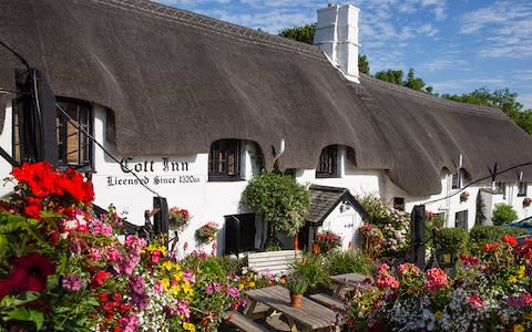 The Cott Inn, Devon