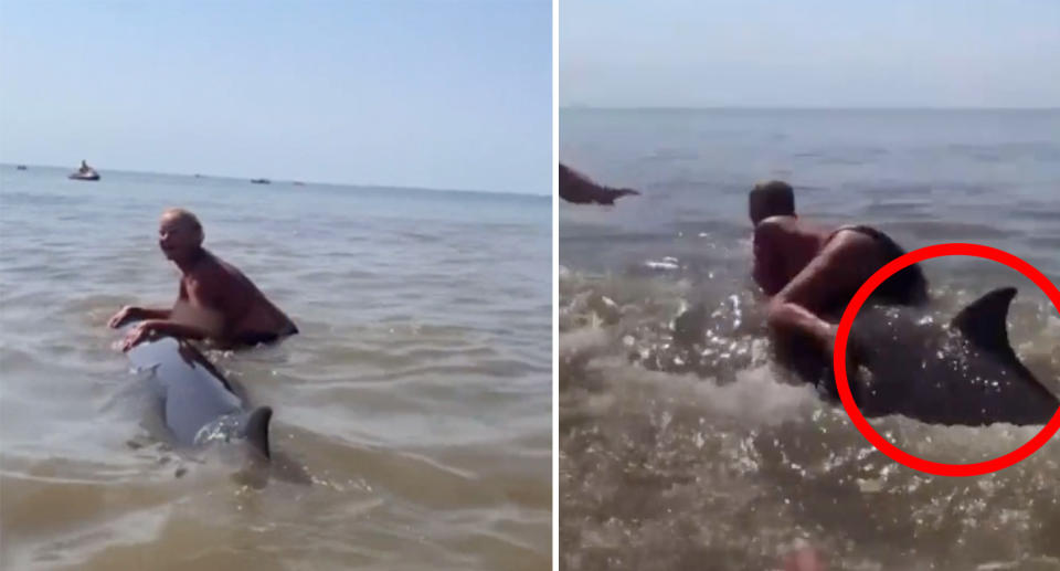 The woman was filmed climbing onto the dolphin's back. Source: Twitter