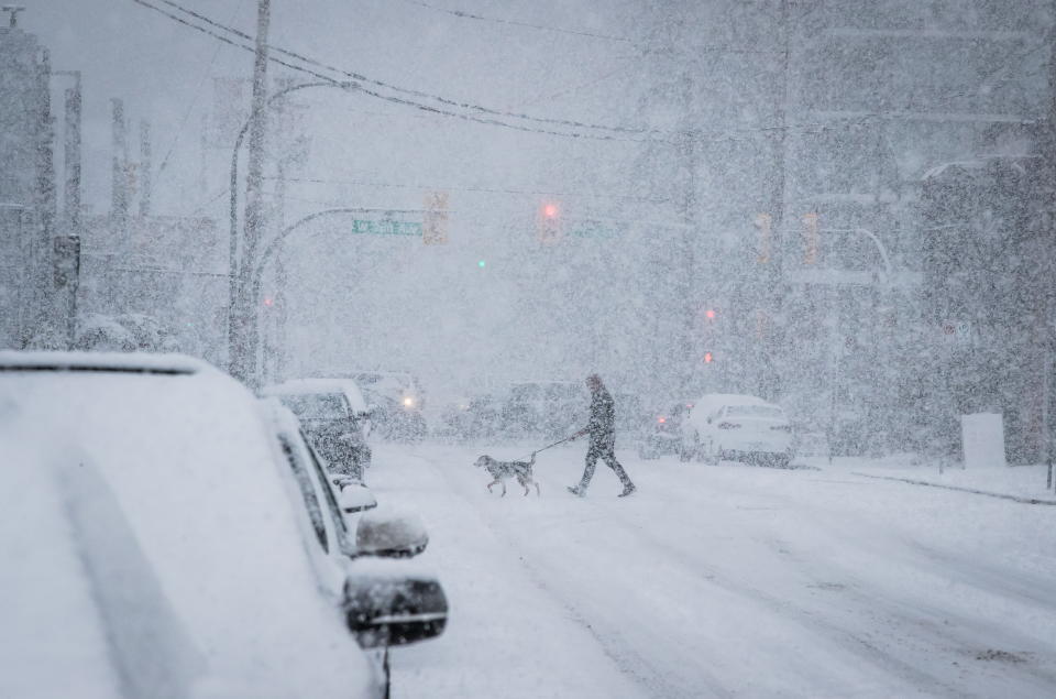 A person walks a dog as heavy snow falls in Vancouver, on Sunday February 10, 2019. Environment Canada issued a snowfall warning for Metro Vancouver with five to 10 centimetres expected in the region beginning Sunday afternoon. THE CANADIAN PRESS/Darryl Dyck