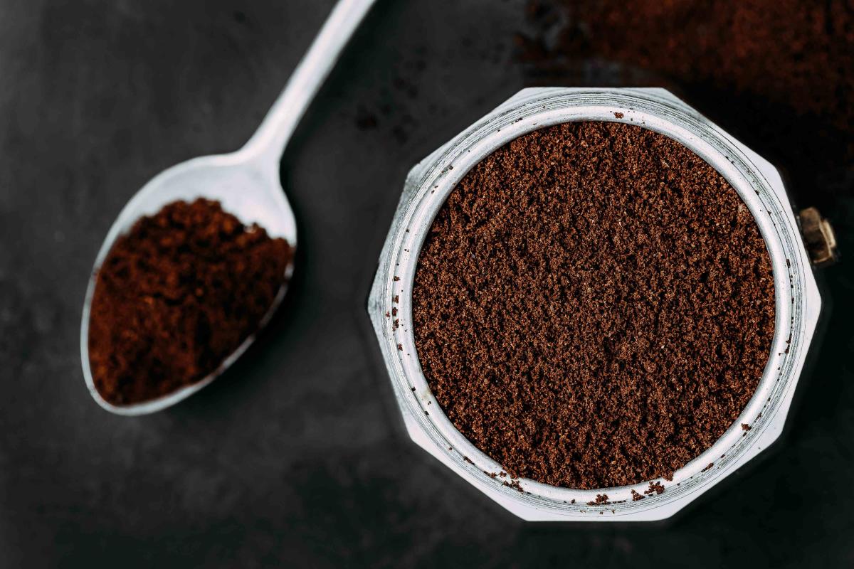 Don't Toss Your Coffee Grounds if You Have a Camping Trip Planned—Use ...