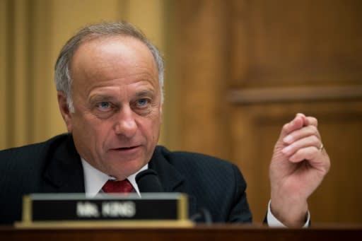 Iowa Republican Steve King is a fierce ally of President Donald Trump in the US House of Representatives