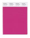 <p>A bright, feel-good feminine colour, Fuchsia Rose is passionate, intense and exciting, yet also warm and endearing.</p>