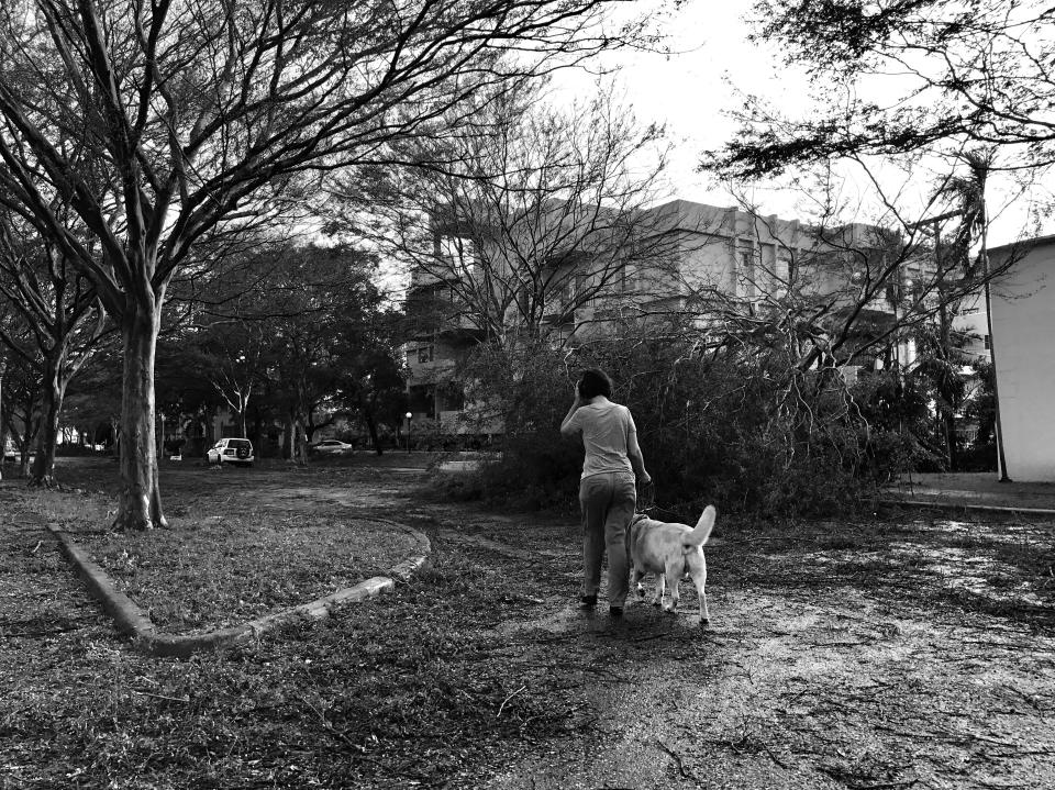 <p>A woman and her dog walk through a neighborhood hit by strong wind and tree damage from Hurricane Irma in Miami. (Photo: Holly Bailey/Yahoo News) </p>