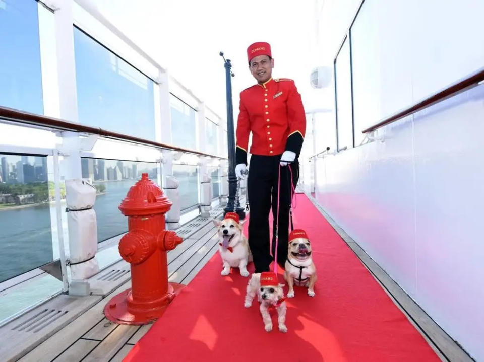 Oliver Cruz mit Chloe, Ella Bean und Wally. Cruz ist laut seiner LinkedIn-Seite seit 2012 bei Cunard beschäftigt.  - Copyright: Diane Bondareff/Cunard Line