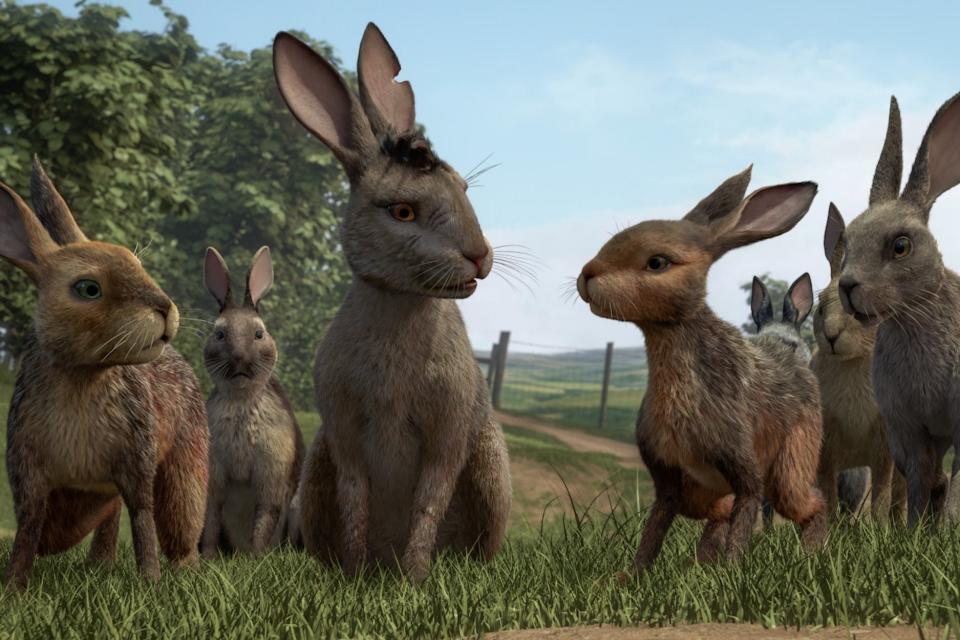 Bunnie on the run: The 2018 BBC adaptation of Watership Down (Watership Down)
