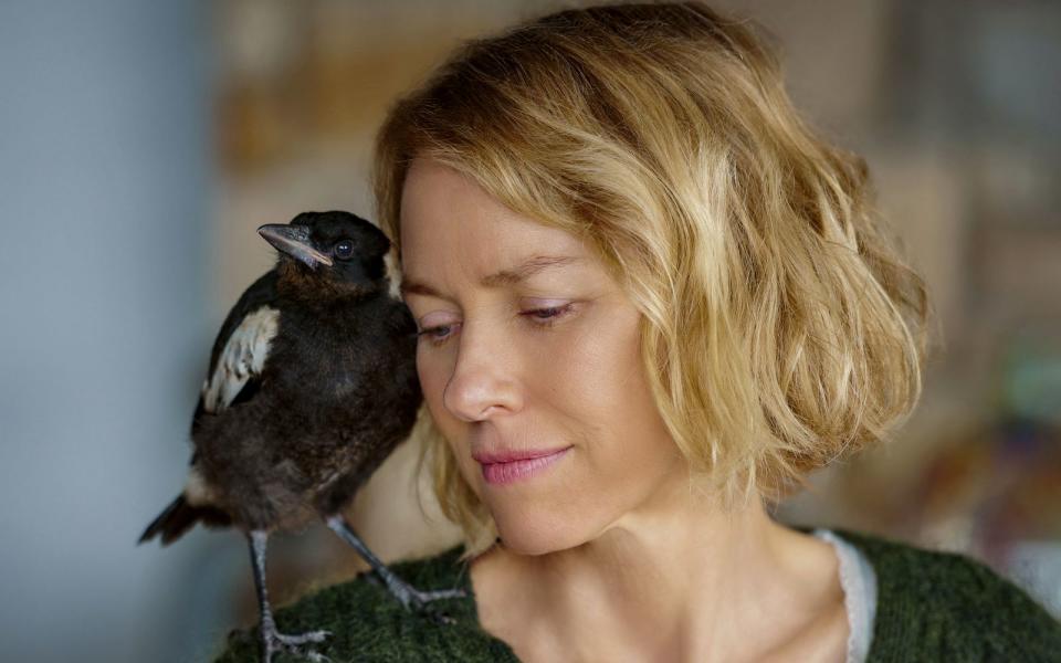 Eine bewegende Familiengeschichte: Nach ihrem Unfall ist Sam (Naomi Watts) querschnittsgelähmt und verfällt in eine Depression. Doch als ihr Sohn einen "Vogel namens Penguin Bloom" rettet, erweckt das Tier in ihr Hoffnung. (Bild: ARD Degeto/Leonine Studios)