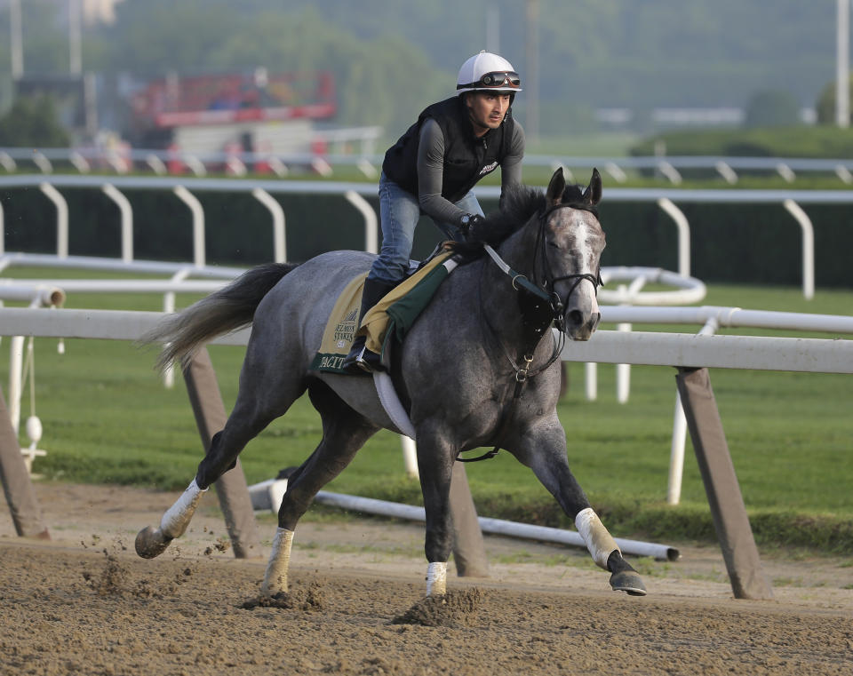 Exercise rider Joe Ramos rides Tacitus during a workout at Belmont Park in Elmont, N.Y., Thursday, June 6, 2019. The 151st Belmont Stakes horse race will be run on Saturday, June 8, 2019. (AP Photo/Seth Wenig)