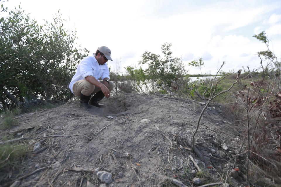 Wildlife biologist/crocodile specialist Michael Lloret points out a crocodile nest on one of the berms along the cooling canals next to the Turkey Point Nuclear Generating Station, Friday, July 19, 2019, in Homestead, Fla. The 168-miles of man-made canals serve as the home to several hundred crocodiles, where a team of specialists working for Florida Power and Light (FPL) monitors and protects the American crocodiles. (AP Photo/Wilfredo Lee)