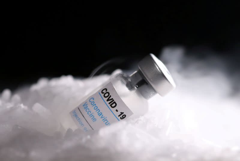 FILE PHOTO: Vials labelled "COVID-19 Coronavirus Vaccine" are placed on dry ice in this illustration