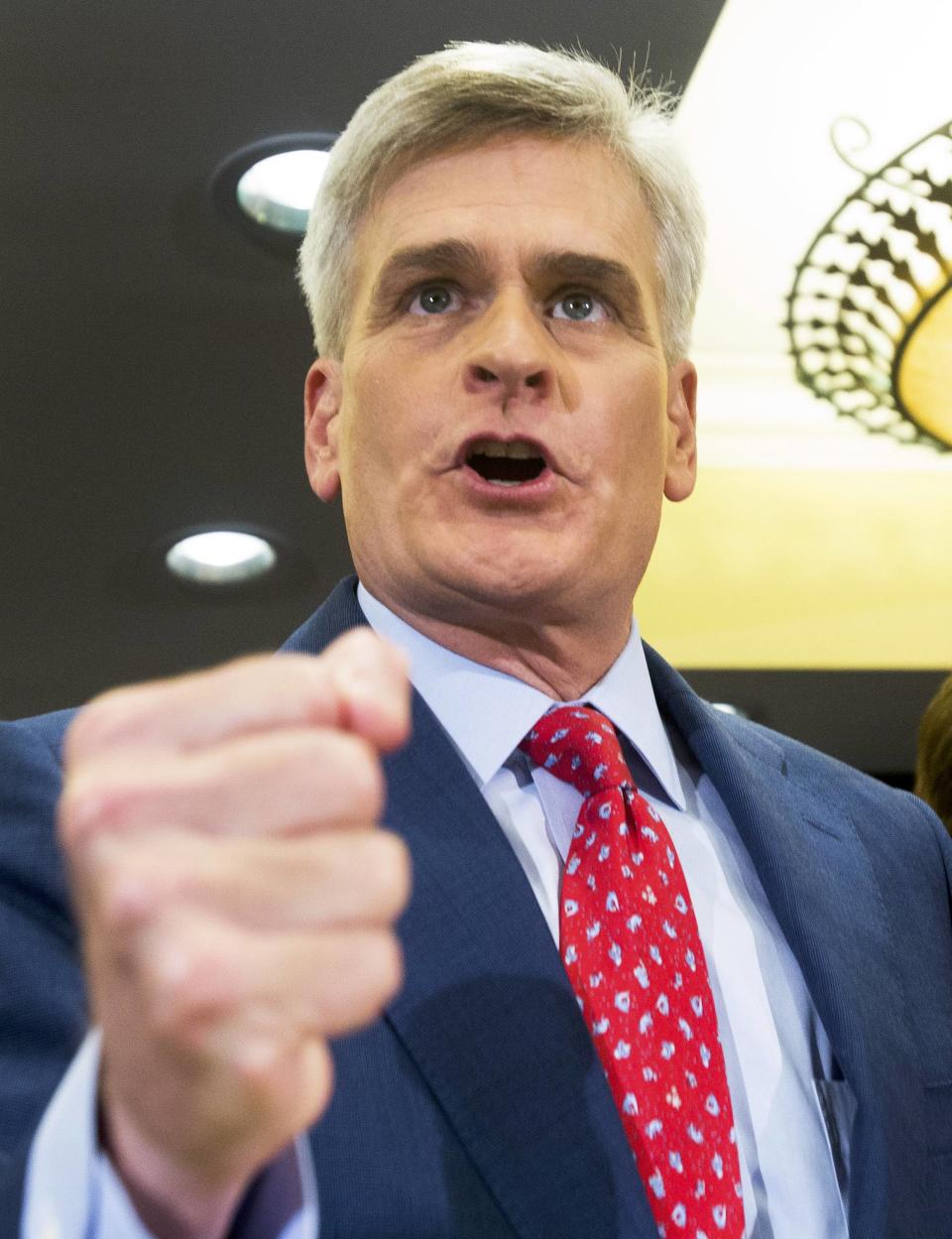 Republican Bill Cassidy addresses supporters in 2014 in Baton Rouge, Louisiana.
