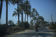 A man rides a motorcycle near date palm trees at a farm in Kerbala, Iraq, October 14, 2017. REUTERS/Abdullah Dhiaa Al-deen/Files