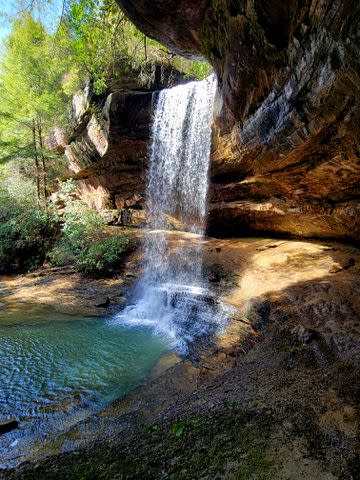 <p>Amy Satterwhite</p> Northrup Falls is accessible via a 1.5-mile loop hike.