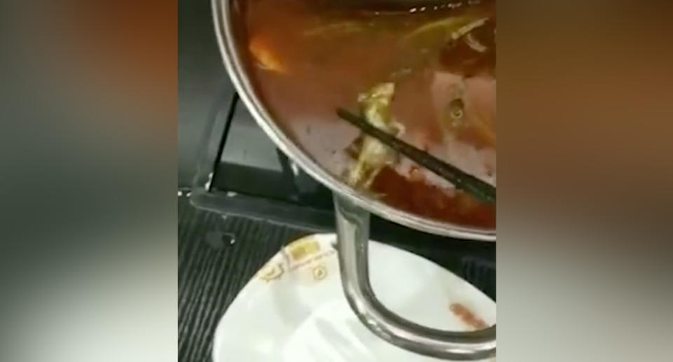 La rata hallada en la sopa de un establecimiento de Xiabu Xiabu. Foto SCMP