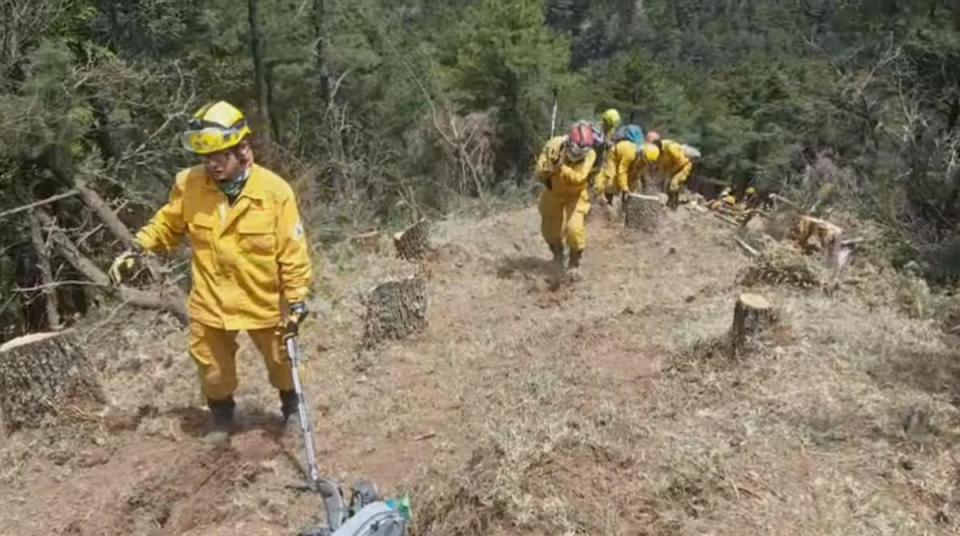 為防止玉山火勢蔓延，森管員身著重裝，努力開闢防火線。（翻攝自林務局-森活情報站臉書）