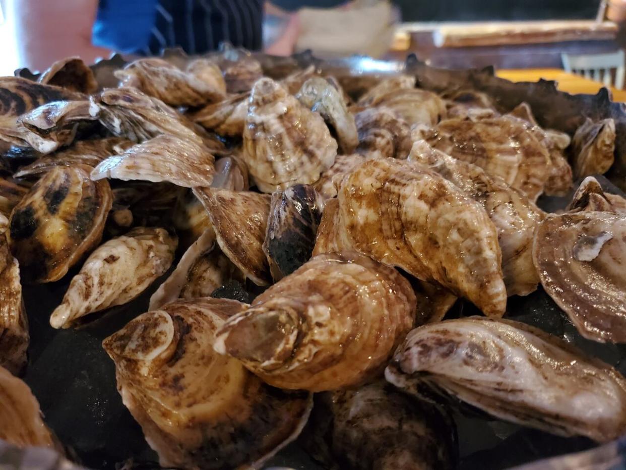 In 2021, oyster farming in Nova Scotia was valued at $4.7 million. (Jane Adey/CBC - image credit)