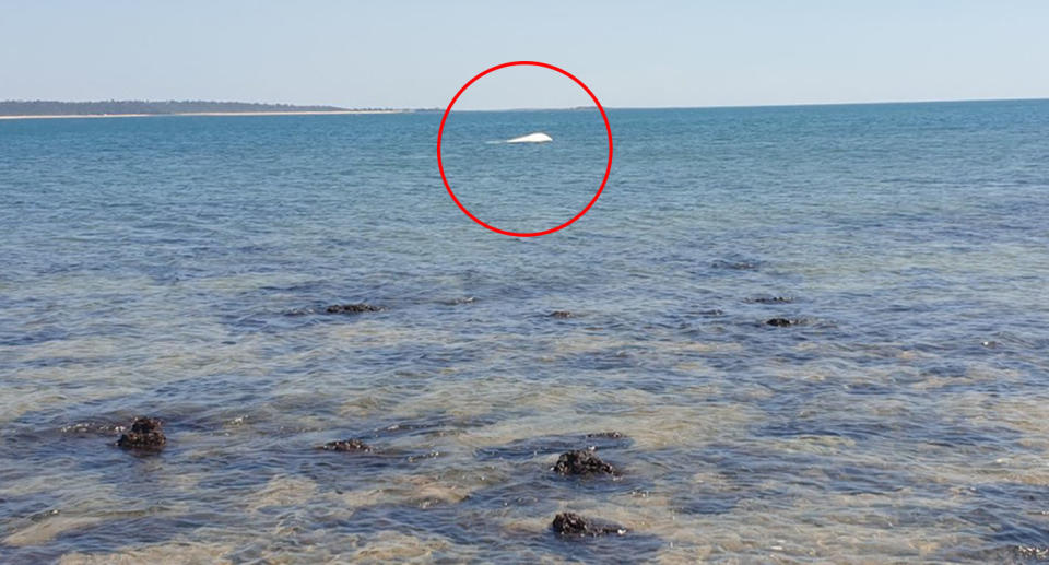 Twenty-one people made it safely to land after a four-metre capsized off the Northern Territory coast.