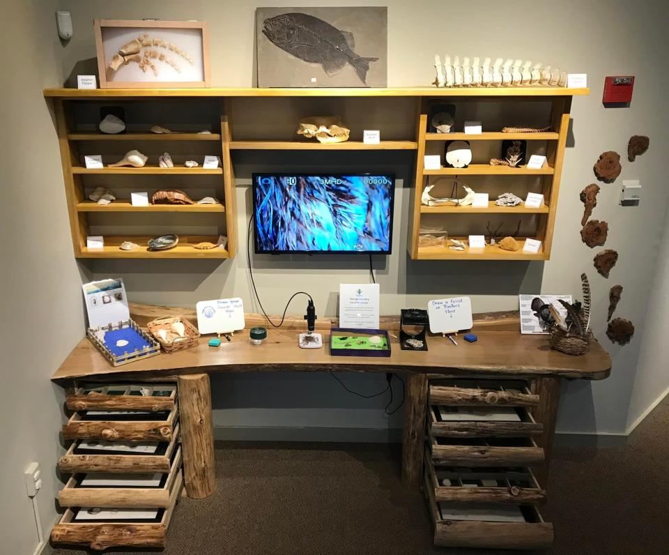 The Curiosity Corner has drawers of nature specimens that can be examined up close using a digital microscope. Or visitors can view materials found on their own travels on the museum's nature trails.