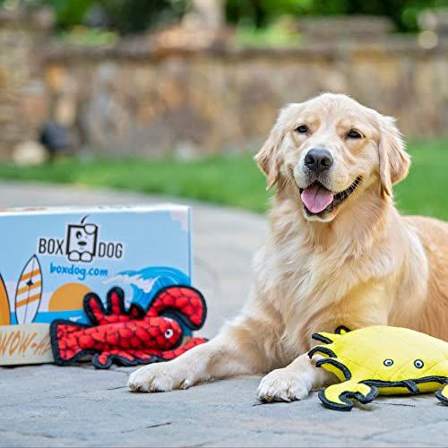 9) BoxDog Seasonal Dog Boxes