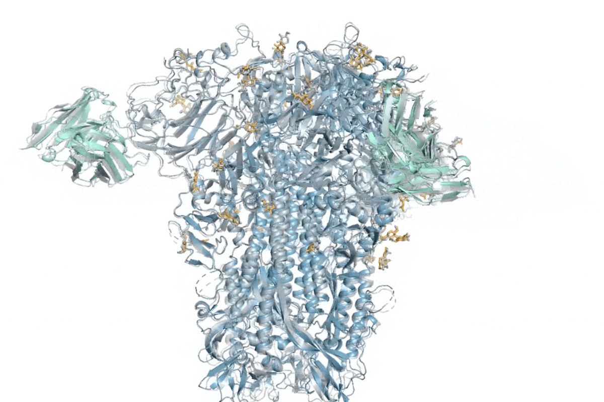 A DeepMind model of a 3D molecular structure from a common cold virus (Google DeepMind) (Google Deepmind)