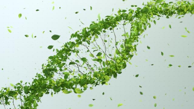 Una ilustraci&#xf3;n de una cadena de ADN hecha de hojas
