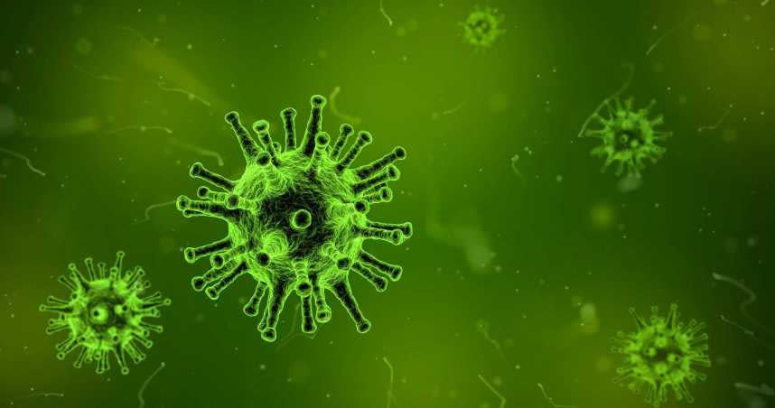 目前全球共有4種變種新冠肺炎病毒。（示意圖／pixabay）