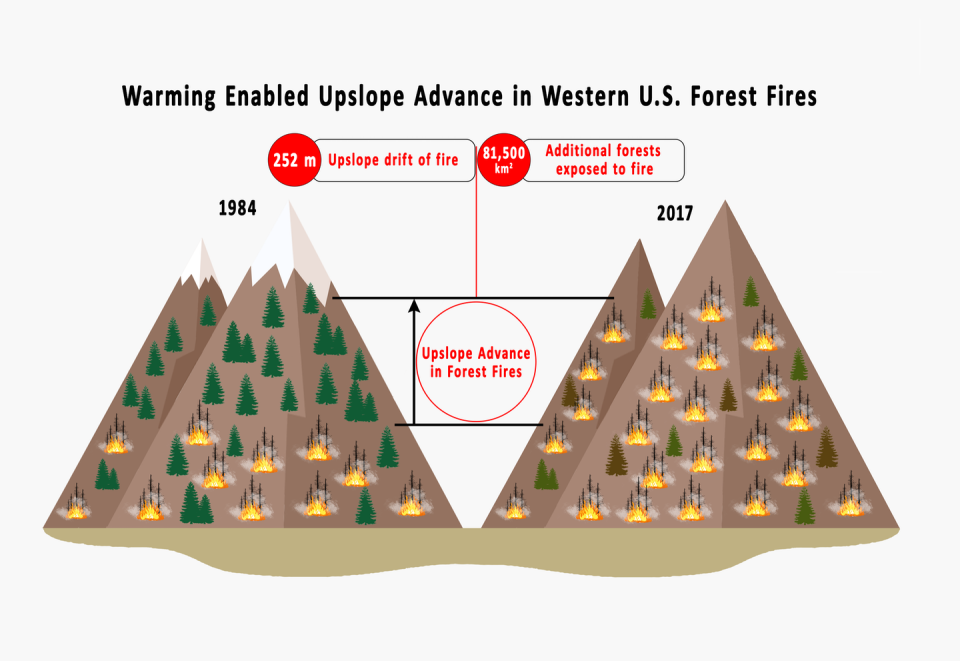 Illustration of two mountains showing fires higher, less snow and more dead trees