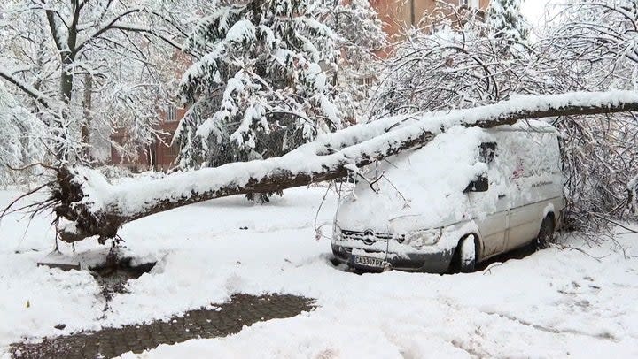 A tree has falle on a car in Bulgaria (AP)