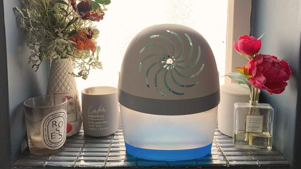 De-humidifier prime day deals - picture of de-humidifier on bathroom shelf