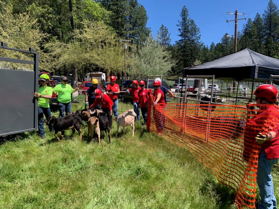 Nevada County Sheriff’s Office