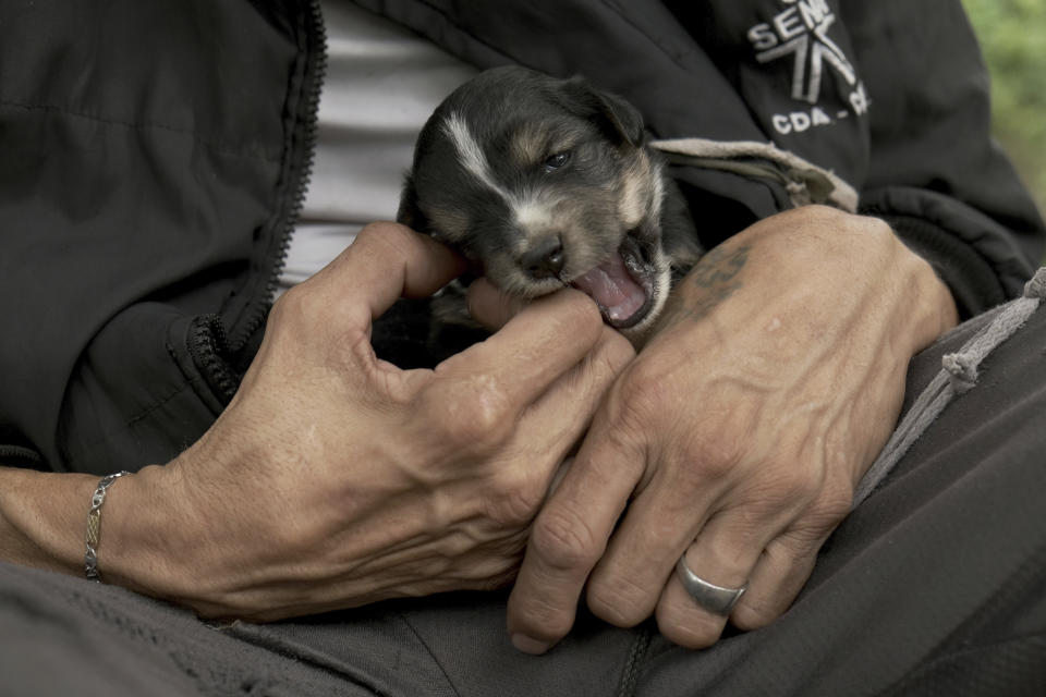 A Venezuelan migrant holds his puppy as he rests in Pamplona, Colombia, Wednesday, Oct. 7, 2020, a few hours away by car from the Venezuelan border. South American roads have become harder to negotiate for poor migrants with no money for bus tickets, as shelters remain closed due to the COVID-19 pandemic and locals who fear contagion are less likely to help out with rides and food. (AP Photo/Ferley Ospina)