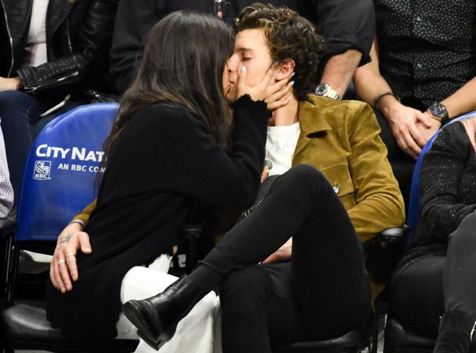 Shawn Mendes, Camila Cabello