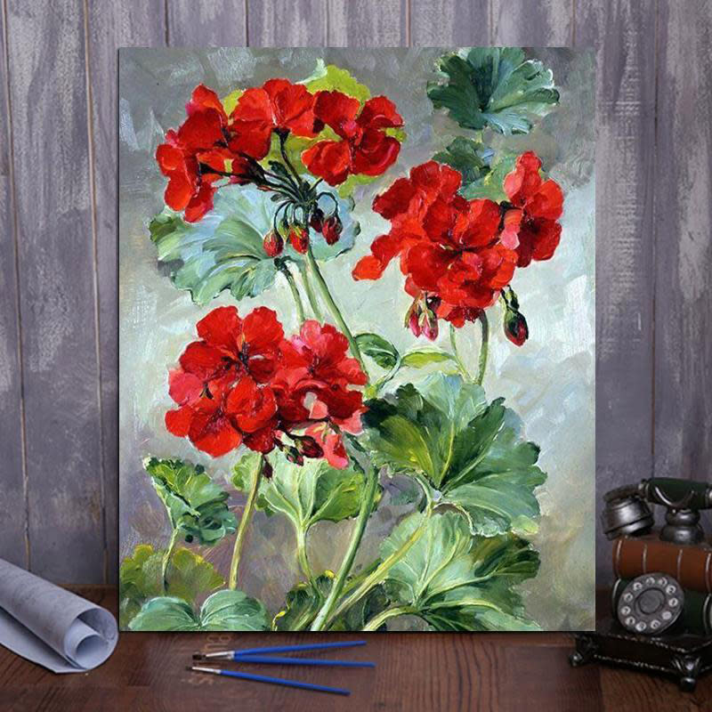 Geraniums