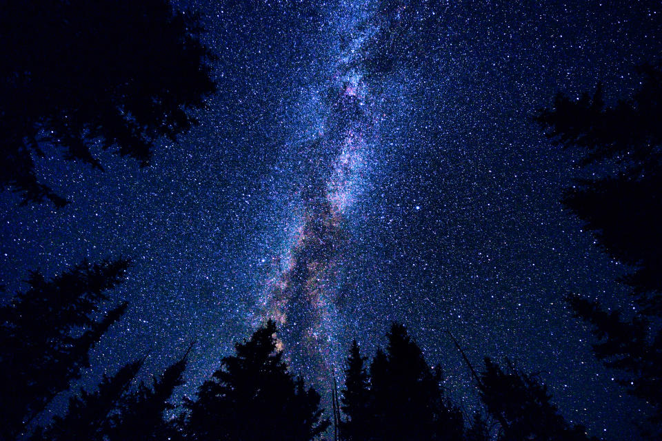 Am Nachthimmel offenbaren sich abertausende von Sternen. Einige von ihnen existieren vielleicht schon seit tausenden von Jahren nicht mehr.