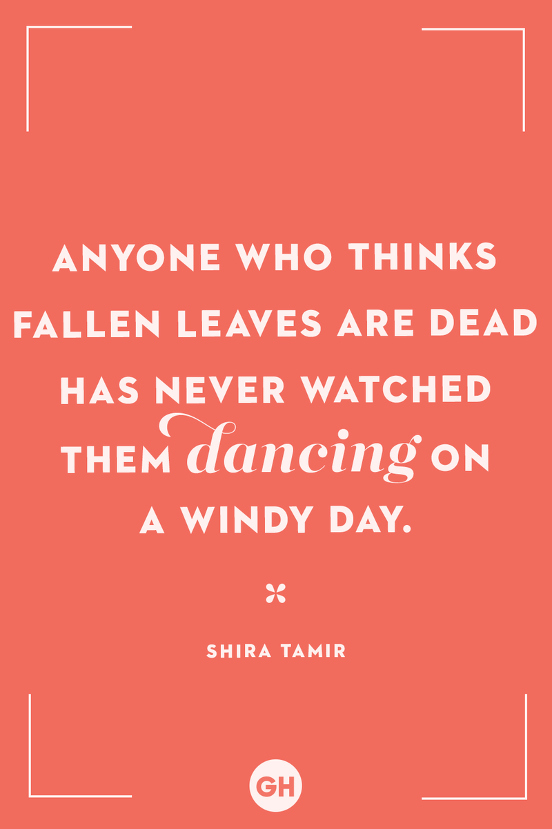 <p>Anyone who thinks fallen leaves are dead has never watched them dancing on a windy day.</p>