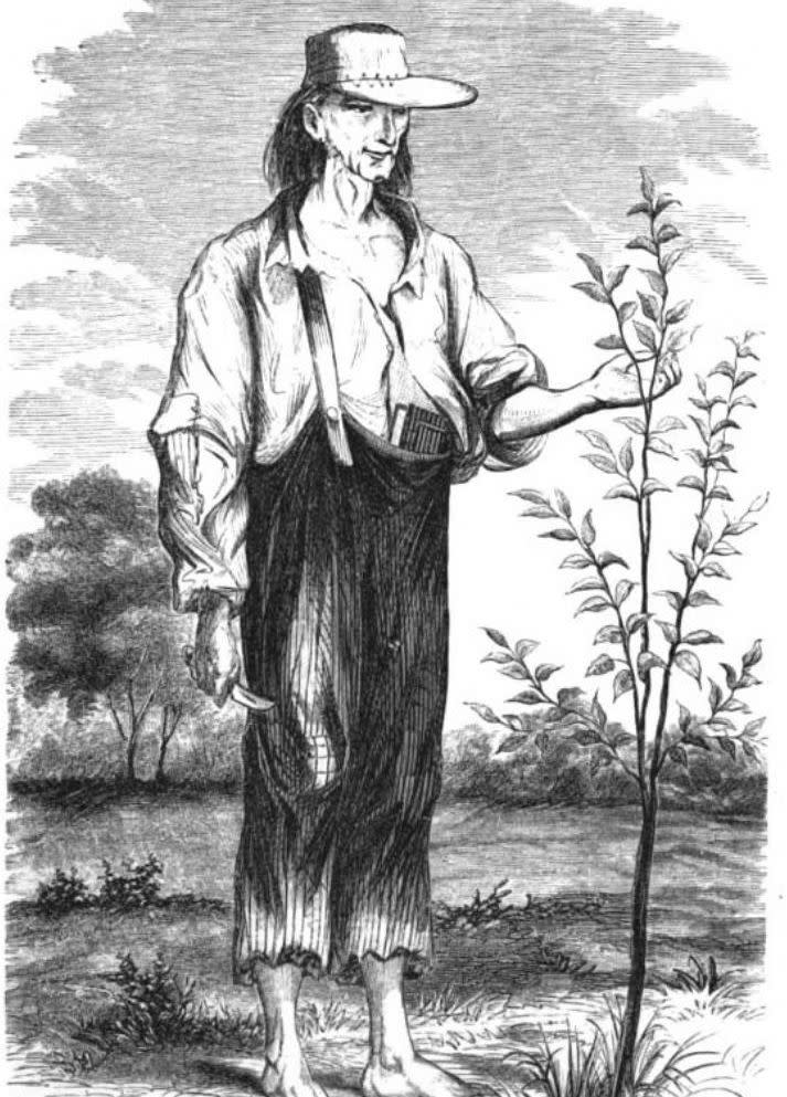 Drawing of Jonathan Chapman, aka Johnny Appleseed