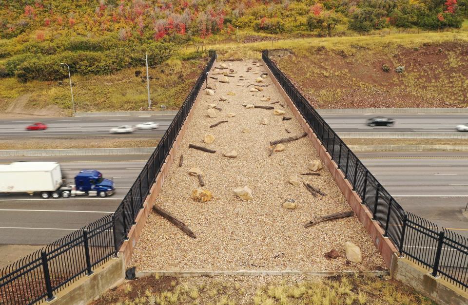 Motorists travel under a wildlife crossing bridge spanning I-80 in Parleys Canyon on Tuesday, Oct. 3, 2023. A recent report examining vehicle collisions with wildlife in 11 states says damages total $1.6 billion a year. | Jeffrey D. Allred, Deseret News