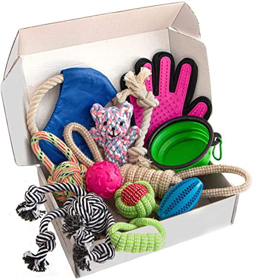 A white cardboard box of pet toys including knotted pull toys and throwing toys and a grooming glove