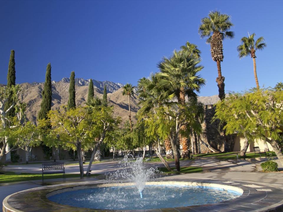 fountain and desert in Palm Springs California